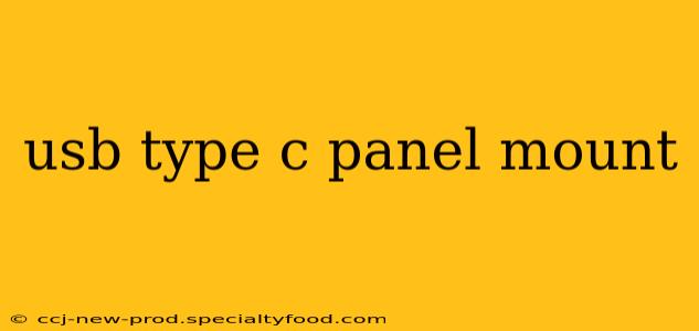 usb type c panel mount