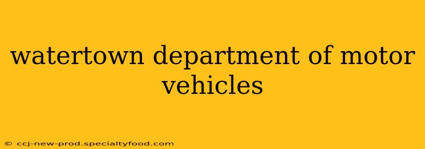 watertown department of motor vehicles