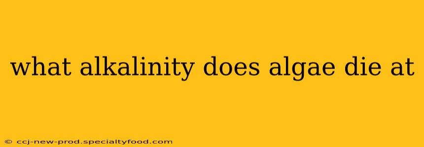 what alkalinity does algae die at