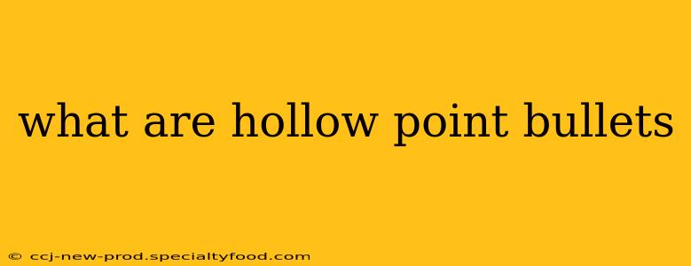 what are hollow point bullets