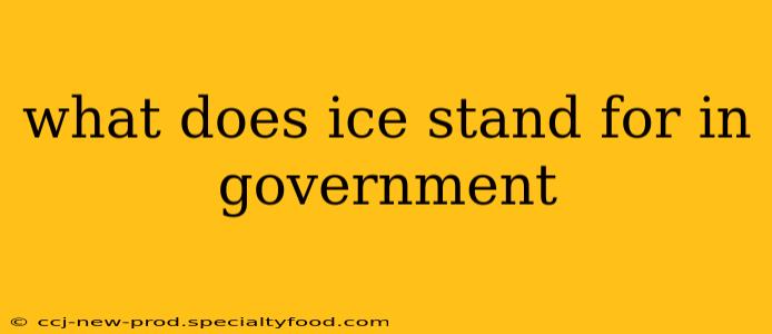 what does ice stand for in government