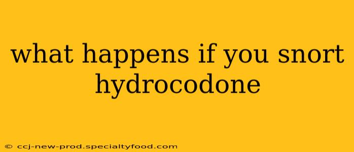 what happens if you snort hydrocodone