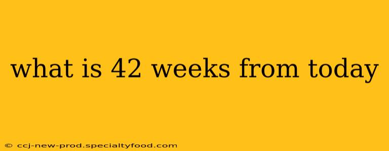 what is 42 weeks from today