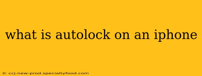 what is autolock on an iphone
