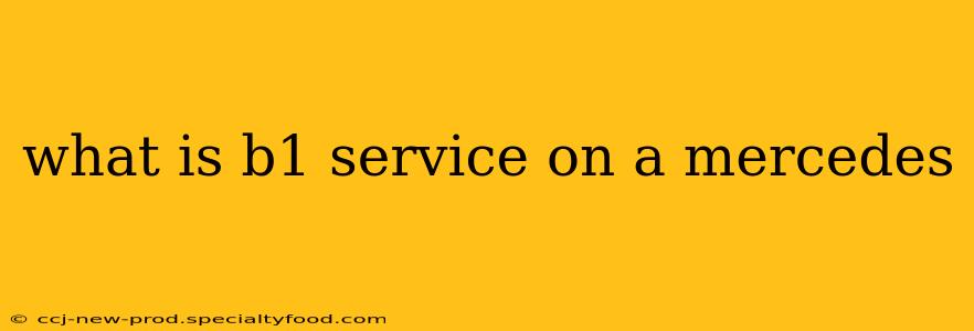 what is b1 service on a mercedes