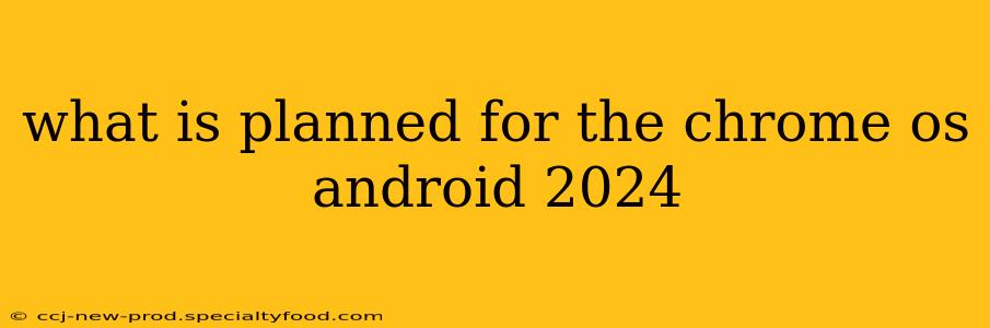 what is planned for the chrome os android 2024