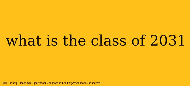 what is the class of 2031