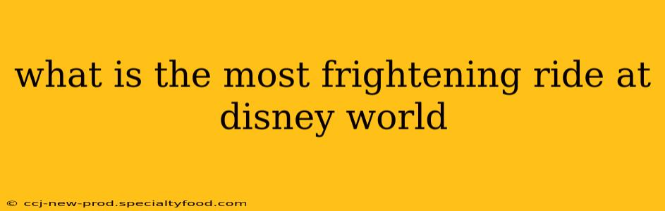 what is the most frightening ride at disney world