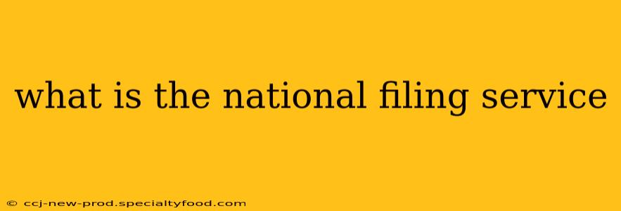 what is the national filing service