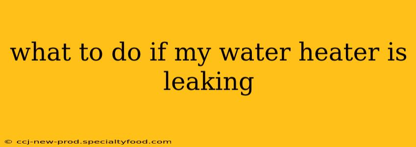 what to do if my water heater is leaking