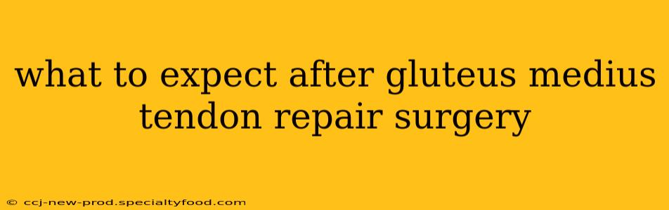 what to expect after gluteus medius tendon repair surgery