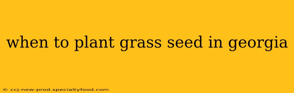 when to plant grass seed in georgia