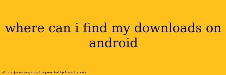 where can i find my downloads on android