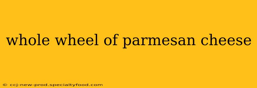 whole wheel of parmesan cheese