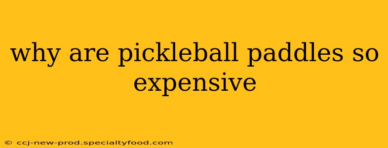 why are pickleball paddles so expensive
