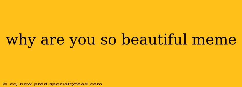 why are you so beautiful meme