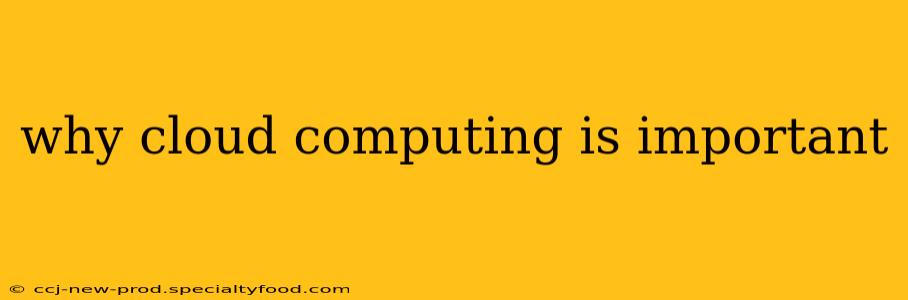 why cloud computing is important