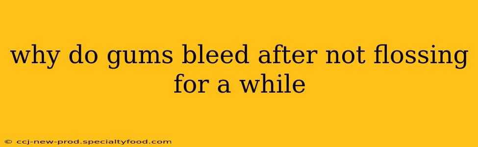 why do gums bleed after not flossing for a while