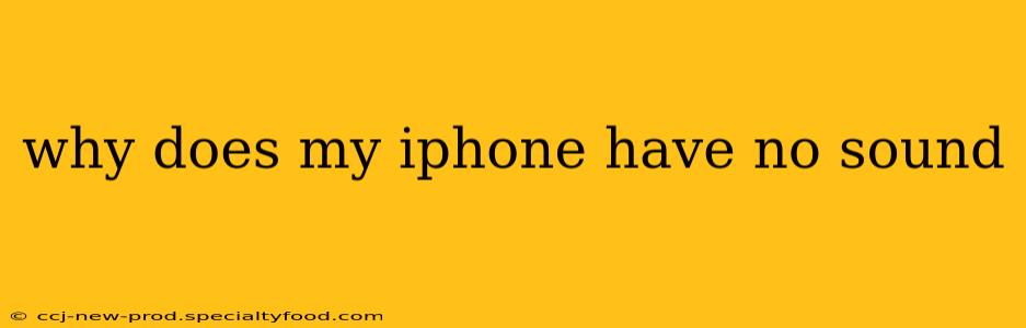 why does my iphone have no sound