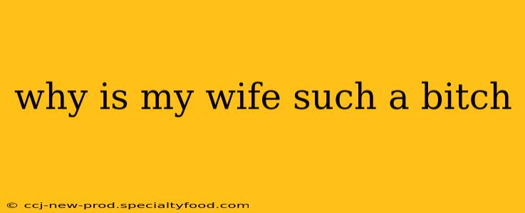 why is my wife such a bitch