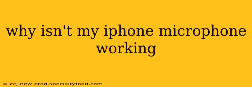 why isn't my iphone microphone working