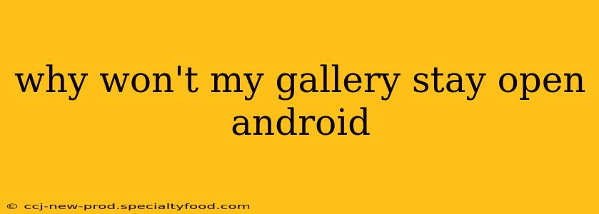why won't my gallery stay open android