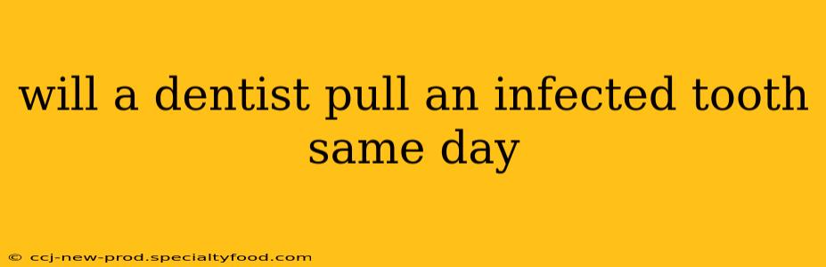 will a dentist pull an infected tooth same day