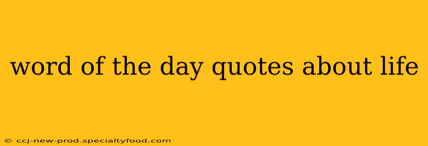 word of the day quotes about life